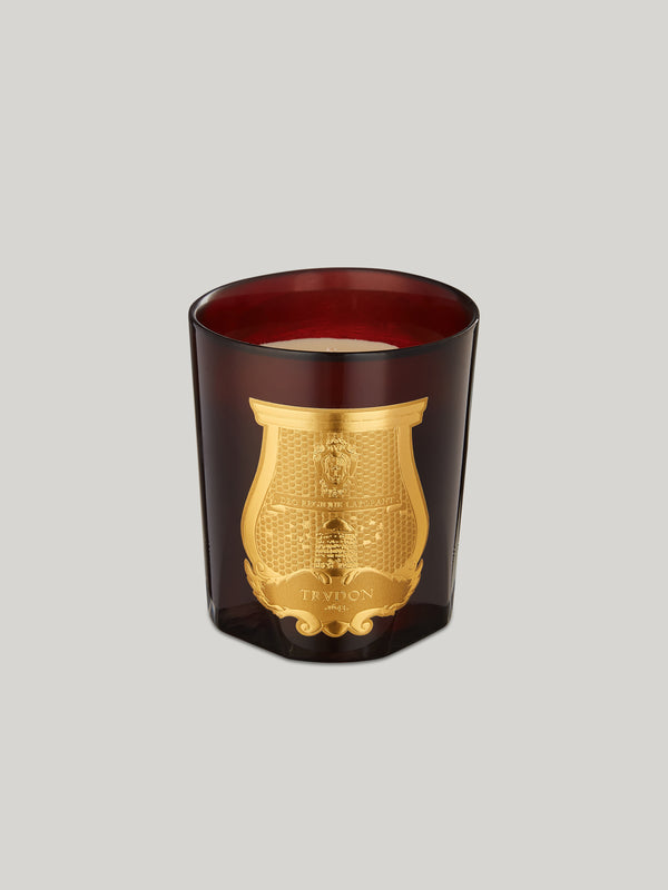The Cire Beeswax Absolute candle fills the Claridge's lobby with the Maison's symbolic blend of of warm wax and perfumes. The scented candle reveals a unique perfume behind the amber-coloured glass, a beeswax absolute. Bees and beeswax have always been at the heart of the manufacture’s History.