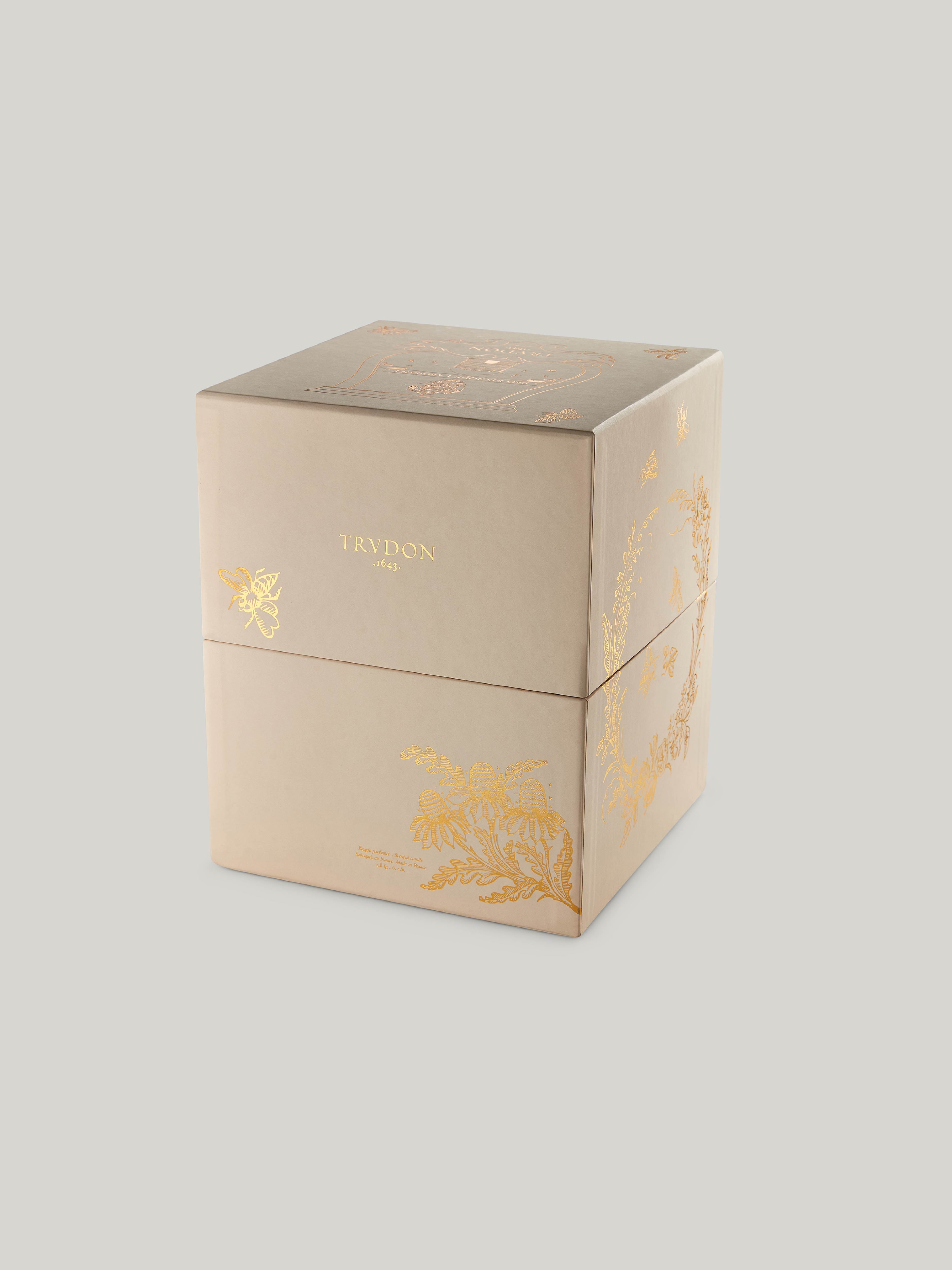 Trudon Cire Great Candle (2.8kg)
