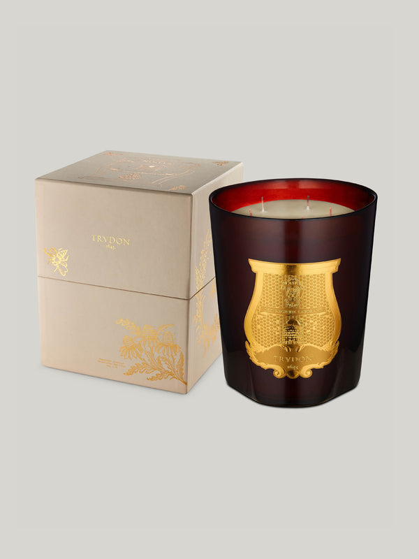 Trudon Cire Great Candle (2.8kg)